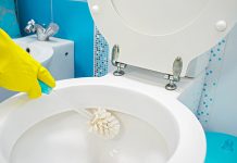 Best Toilet Bowl Cleaner